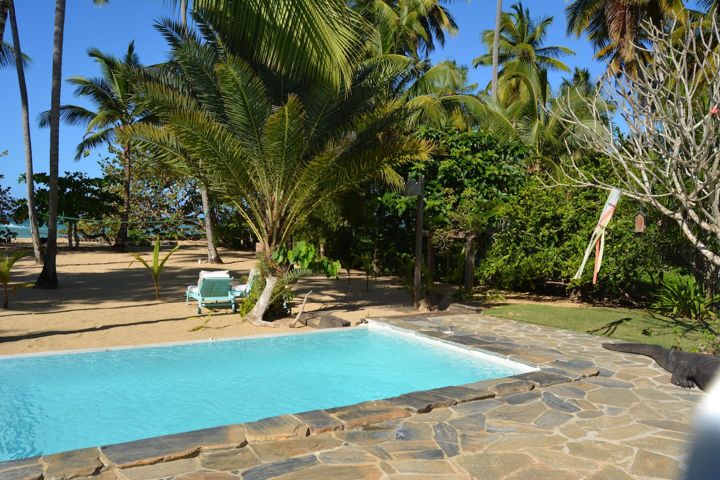 Pool and palms at Casa Paraíso