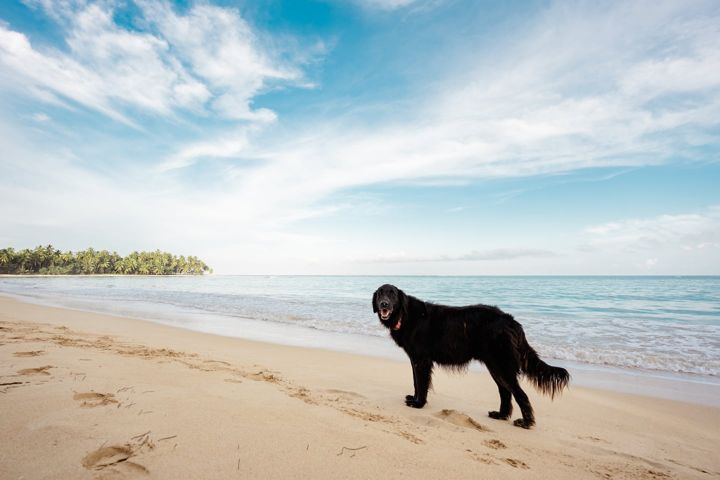 Beach at Casa Paraíso