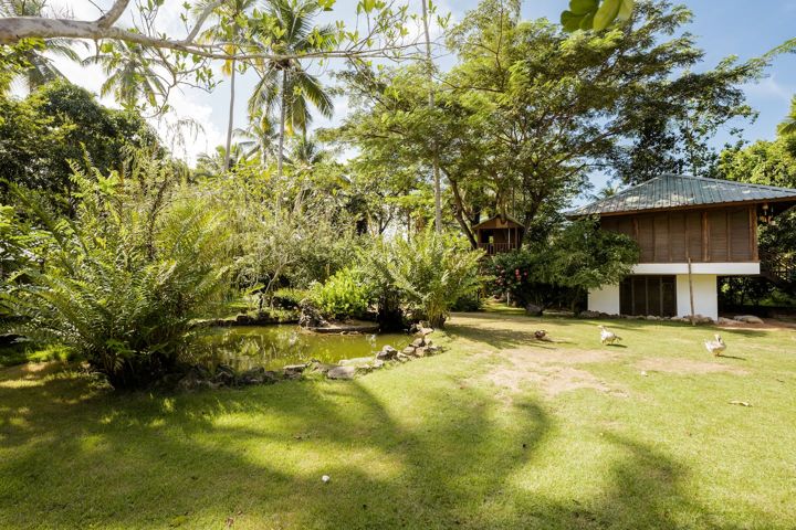 Bungalow and pond at Casa Paraíso