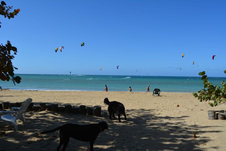 Beach at Casa Paraíso