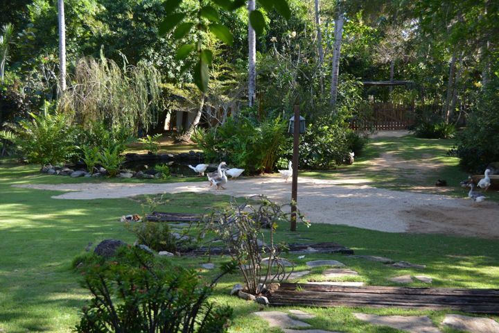 Garden view at Casa Paraíso